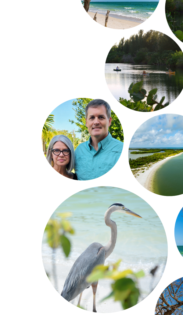 Image collage showing wildlife near Lovers Key State Park along with the property manages for Lovers Key Resort