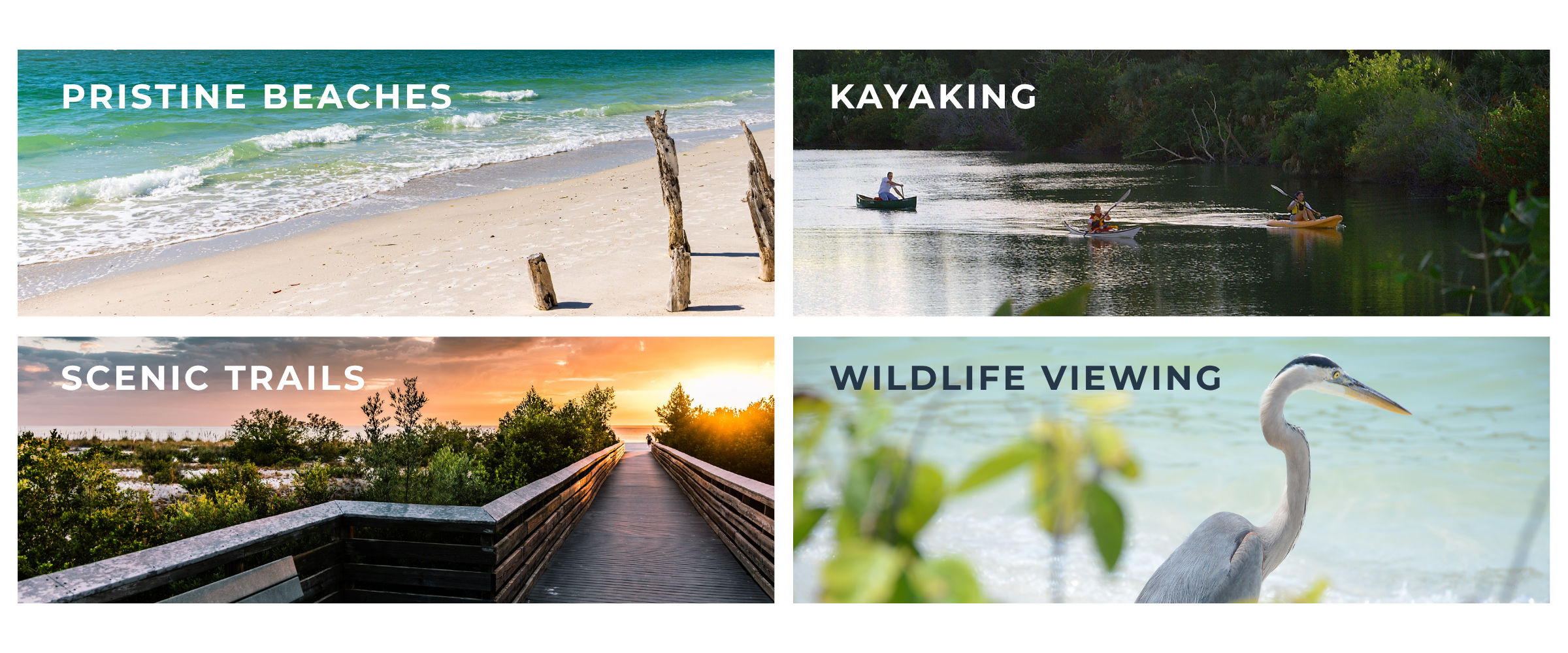 Collage of 4 images depicting the wildlife in and around Lovers Key State Park
